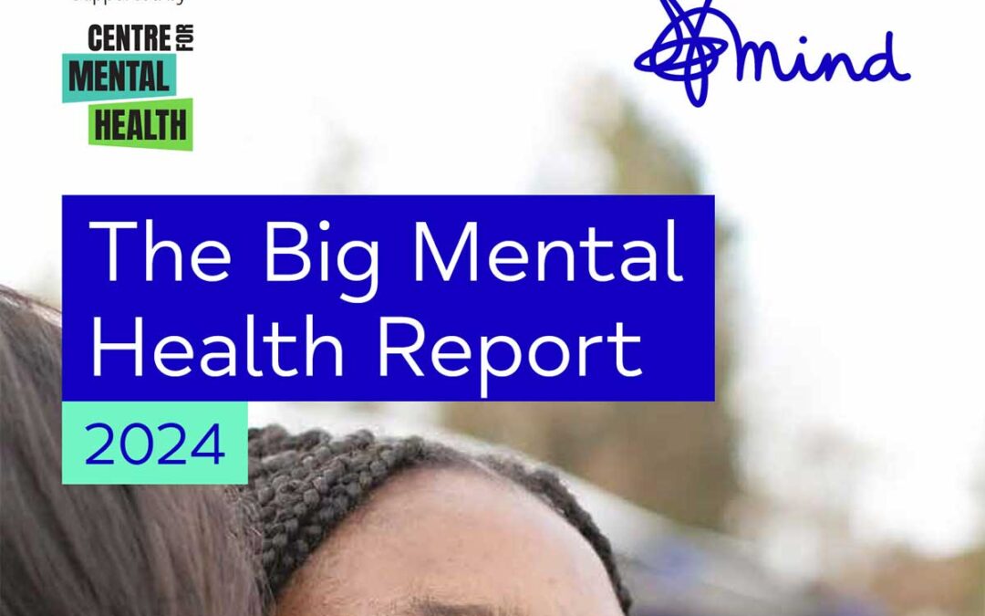 The Big Mental Health Report 2024