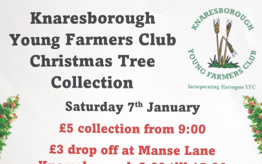 Knaresborough Young Farmers Christmas Tree Collection